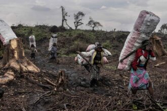 Pope Francis Visits Congo: What to Know