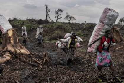 Pope Francis Visits Congo: What to Know