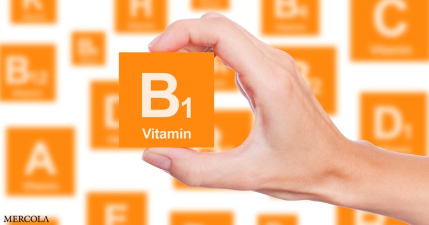 Vitamin B1 Is Vital to Protect Against Infectious Disease