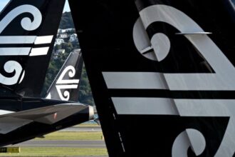 16-hour Air New Zealand flight to nowhere caps a 'wild' trip for one frequent flyer