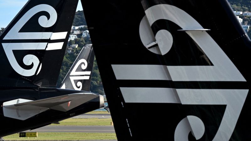 16-hour Air New Zealand flight to nowhere caps a 'wild' trip for one frequent flyer