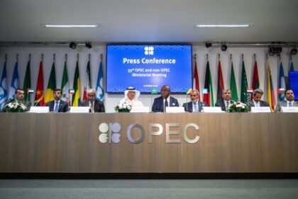 AFRICA : Africa's small oil producers court Gulf states at OPEC