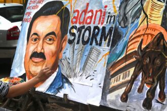 Adani exploited weakness in Indian institutions