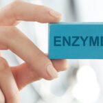 Are Enzymes a Key to COVID Endothelial Injury?