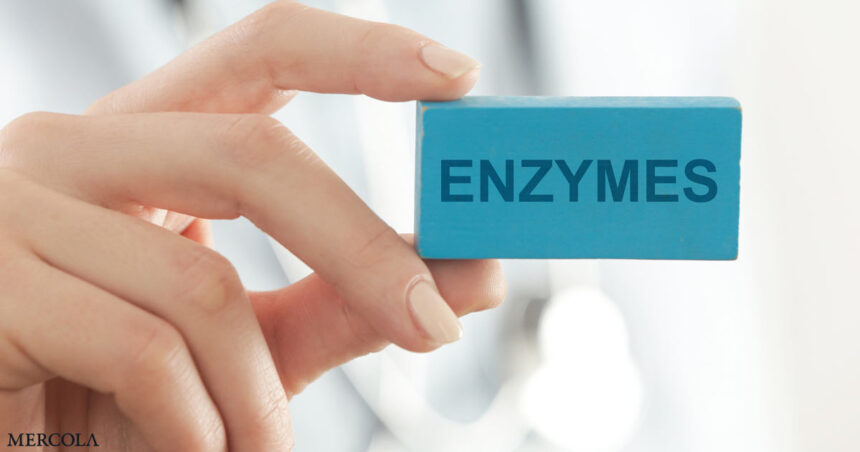 Are Enzymes a Key to COVID Endothelial Injury?