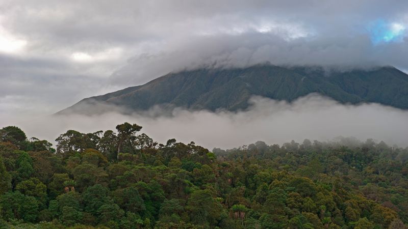 Australian academic among hostages held in Papua New Guinea as police launch rescue mission