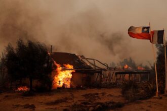 Chile wildfires leave at least 22 people dead, officials say