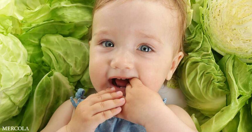 Dangers of Raising Vegan Babies