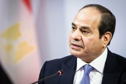 EGYPT : Sisi's economic ambiguity fuels Gamal Mubarak's presidential ambition