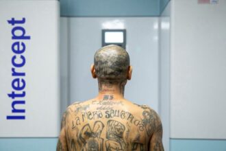 El Salvador 'mega prison': Thousands transferred amid gang crackdown