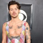 Harry Styles' Grammy fashion: Rainbow jumpsuit divides social media