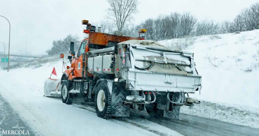 How Road Salt Does More Harm Than Good