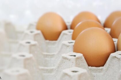 Is the Egg Shortage Another Conspiracy?