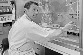 Paul Berg, Nobel-Winning Pioneer of Genetic Engineering, Is Dead at 96