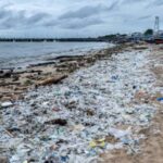 The world is creating more single-use plastic waste than ever, report finds