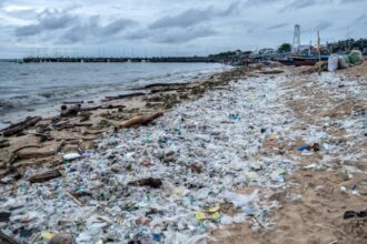 The world is creating more single-use plastic waste than ever, report finds