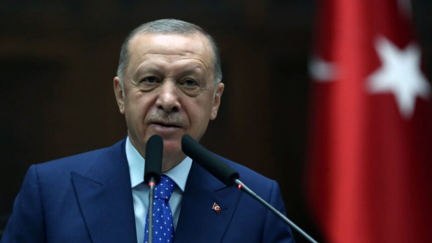 Erdogan says Turkey will start ratifying Finland's NATO application