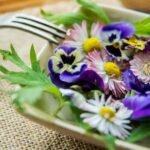 Flower Power: What Can Edible Flowers Do for Your Health?