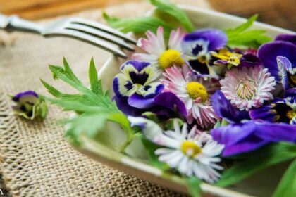 Flower Power: What Can Edible Flowers Do for Your Health?