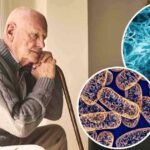 How Aging Affects Mitochondria in Brain Cells