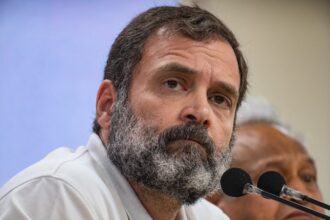 'I am not scared': Disqualified Gandhi will continue questioning Modi