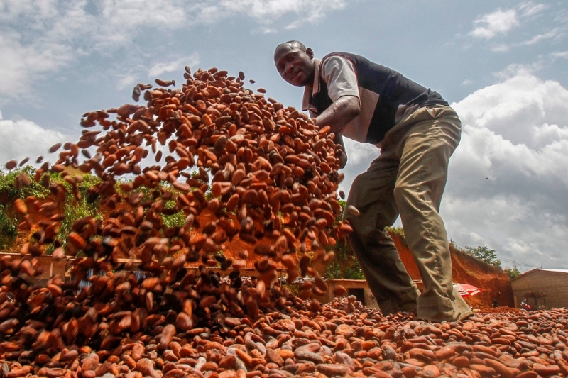 IVORY COAST : Cargill granted extra cocoa beans quota