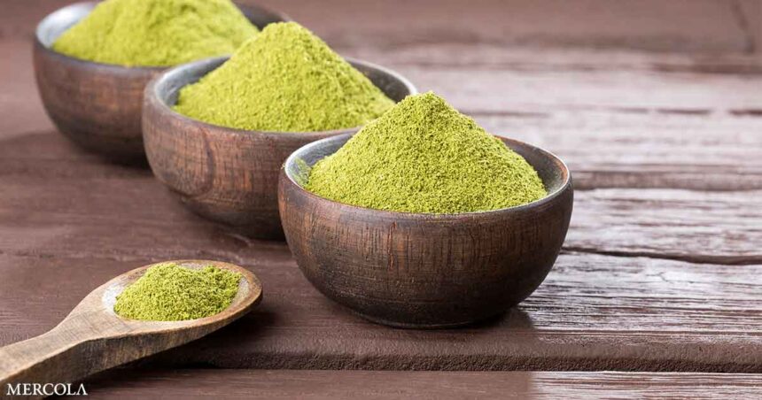 Moringa Contains All Essential Amino Acids Your Body Needs