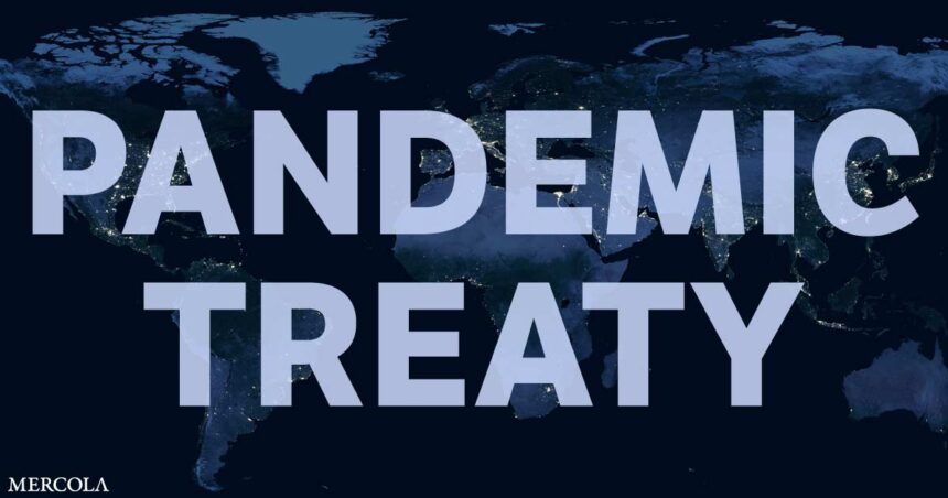 Pandemic Treaty Will Usher in Unelected One World Government