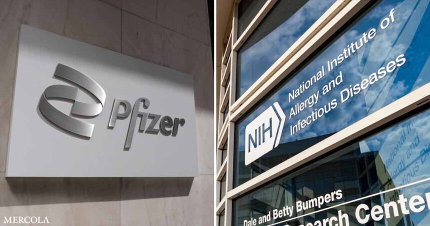 Pfizer's Secret Collusion With the NIH