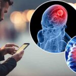 Reproduced Government Study Shows Cellphones Linked to Tumors