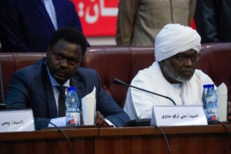 SUDAN : Ex-rebels Minnawi and Ibrahim pressure Burhan for government jobs