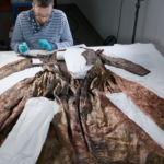 This Dress Survived for More Than Three Centuries at the Bottom of the Sea