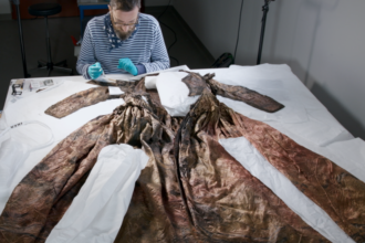 This Dress Survived for More Than Three Centuries at the Bottom of the Sea