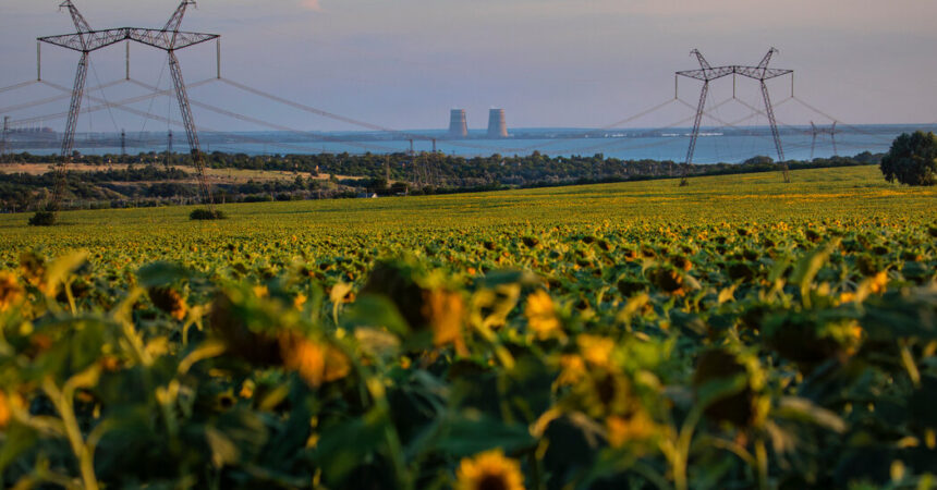 Torture and Turmoil at Ukrainian Nuclear Plant: An Insider’s Account