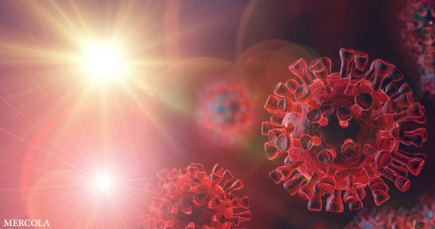 UV Radiation Protects Against Coronavirus