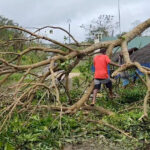 Vanuatu Strikes a Blow for Climate Justice