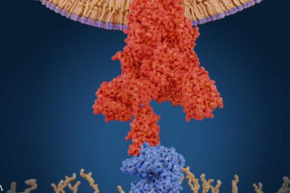 World Council for Health Reveals Spike Protein Detox