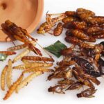 16 Species of Insects Approved for Human Consumption