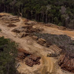 Biden to Pledge $500 Million to Stop Deforestation in Brazil