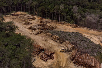 Biden to Pledge $500 Million to Stop Deforestation in Brazil