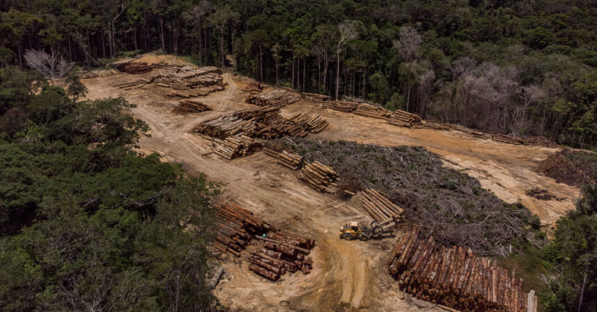 Biden to Pledge $500 Million to Stop Deforestation in Brazil