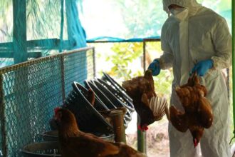 Bird Flu Scare Narrative Ramps Up