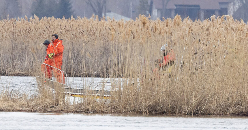 Bodies of 8 Migrants Found in River Along U.S.-Canadian Border