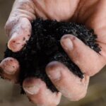 'Dirt Rich' - Importance of Biochar and Regenerative Systems