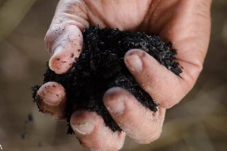 'Dirt Rich' - Importance of Biochar and Regenerative Systems