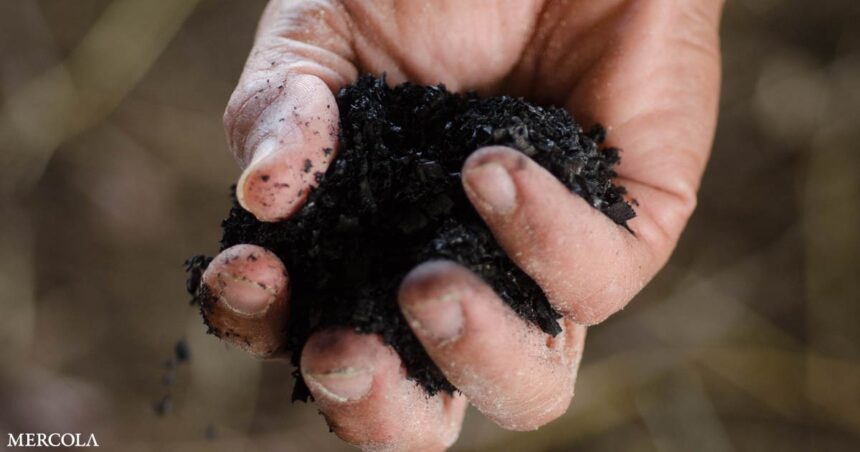 'Dirt Rich' - Importance of Biochar and Regenerative Systems