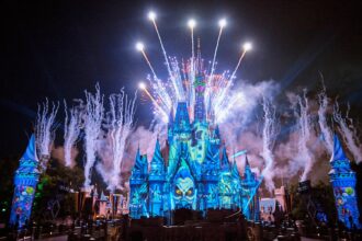 fireworks at disney