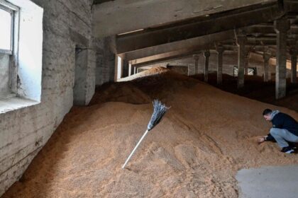 EU Extends Tariff-Free Ukraine Grain Policy, Despite Protests