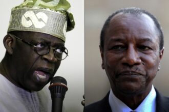 GUINEA/NIGERIA : Bola Tinubu's discrete business ties with Alpha Condé