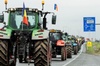 Glut of cheap Ukrainian grain sparks farmers' protests in eastern Europe